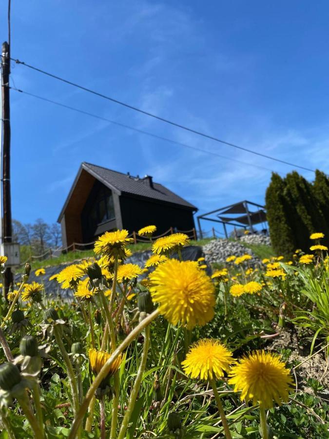 Villa Stodola Nad Skawa Sucha Beskidzka Esterno foto